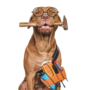 Smiling dog caring tools.