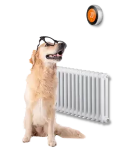 Home Telecom, utility and broadband specialist. Home energy image.