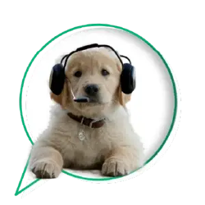 Support Plus banner image