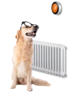 Home Telecom, Utility specialist, Services Energy