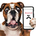Home Telecom, Utility specialists, Contact us, Missed call from us