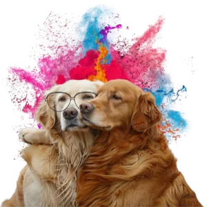 Home Telecom, UK's leading utility specialists, Renewals, Renew your package, renewing your broadband