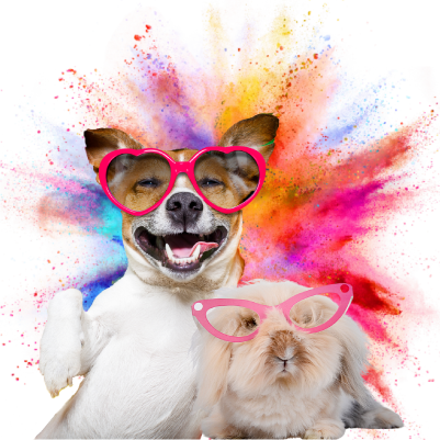 Home Telecom. UK's leading utility specialists, recommend a friend