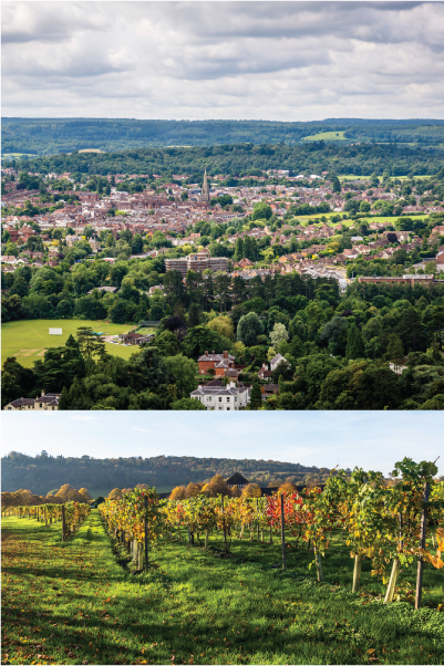 Full Fibre broadband in Dorking