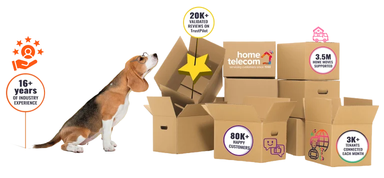 Over 20,000 validated reviews on Trustpilot
